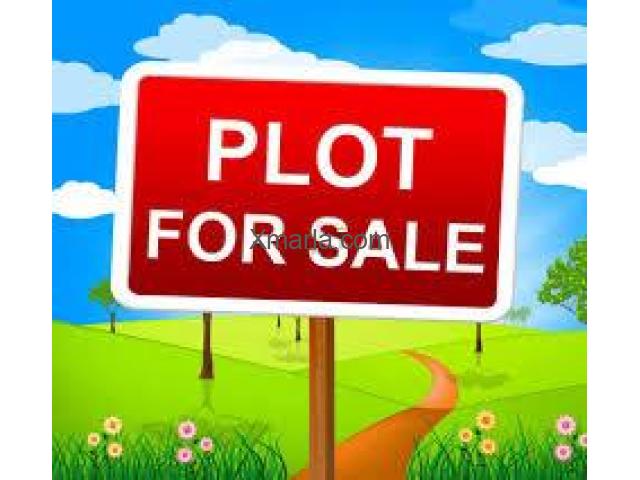 4 Marla residential (Read add care fully)