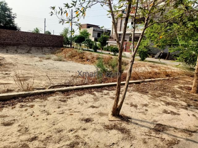 10 marla corner plot for sale in Toba Tek Singh