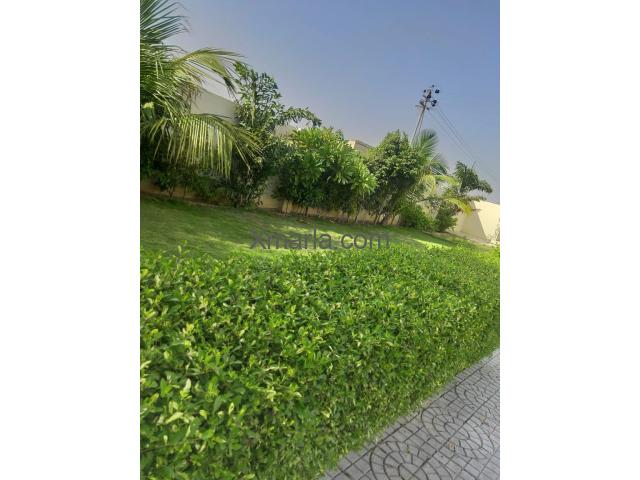 420 square yards Farmhouse for sale in Karachi, Taiser town sector 10