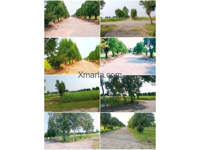 6 Marla Plot for Sale